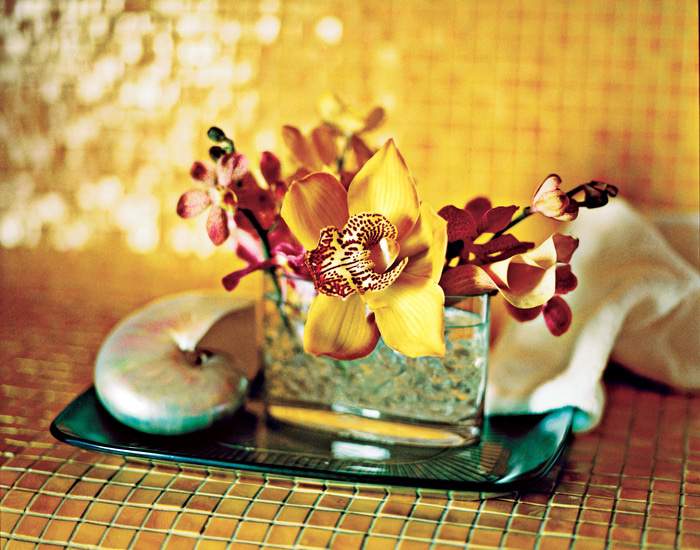 Holland America Line - Rotterdam - Greenhouse Spa and Salon.jpg